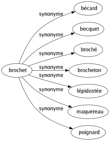Synonyme de Brochet : Bécard Becquet Broché Brocheton Lépidostée Maquereau Poignard 