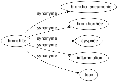 Synonyme de Bronchite : Broncho-pneumonie Bronchorrhée Dyspnée Inflammation Toux 