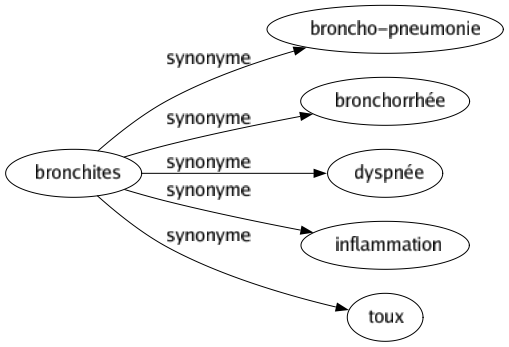 Synonyme de Bronchites : Broncho-pneumonie Bronchorrhée Dyspnée Inflammation Toux 