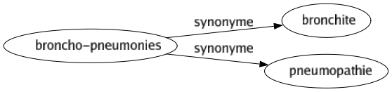Synonyme de Broncho-pneumonies : Bronchite Pneumopathie 