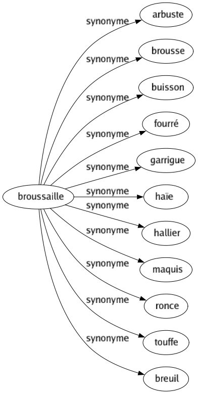 Synonyme de Broussaille : Arbuste Brousse Buisson Fourré Garrigue Haïe Hallier Maquis Ronce Touffe Breuil 