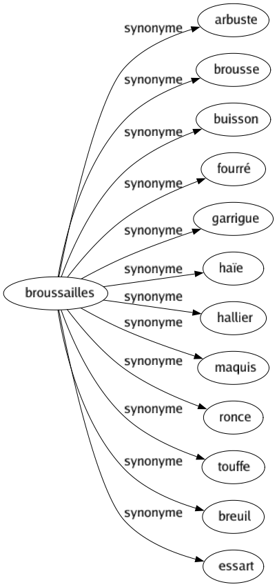 Synonyme de Broussailles : Arbuste Brousse Buisson Fourré Garrigue Haïe Hallier Maquis Ronce Touffe Breuil Essart 