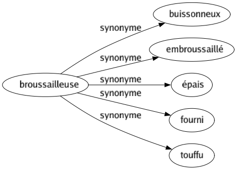 Synonyme de Broussailleuse : Buissonneux Embroussaillé Épais Fourni Touffu 