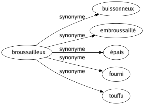 Synonyme de Broussailleux : Buissonneux Embroussaillé Épais Fourni Touffu 
