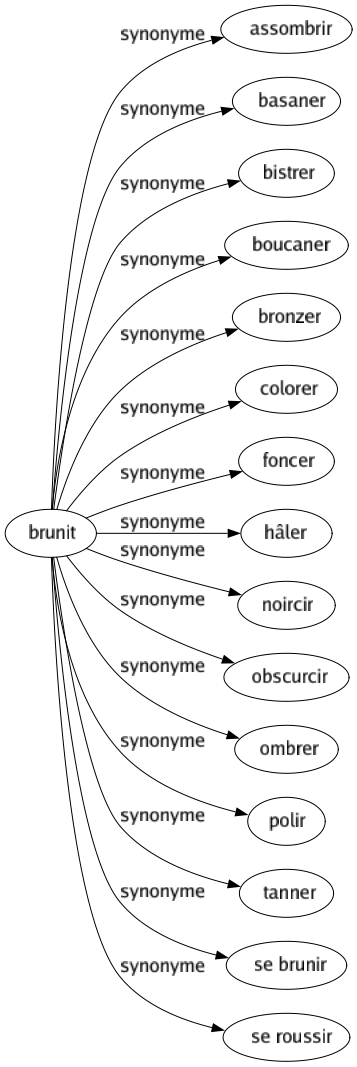 Synonyme de Brunit : Assombrir Basaner Bistrer Boucaner Bronzer Colorer Foncer Hâler Noircir Obscurcir Ombrer Polir Tanner Se brunir Se roussir 