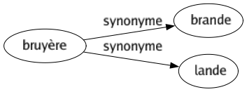 Synonyme de Bruyère : Brande Lande 