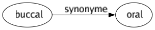 Synonyme de Buccal : Oral 