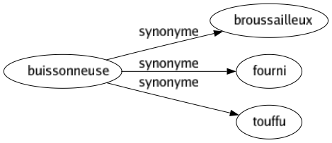 Synonyme de Buissonneuse : Broussailleux Fourni Touffu 