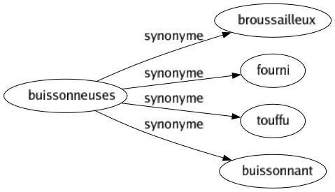 Synonyme de Buissonneuses : Broussailleux Fourni Touffu Buissonnant 
