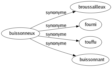 Synonyme de Buissonneux : Broussailleux Fourni Touffu Buissonnant 