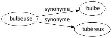 Synonyme de Bulbeuse : Bulbe Tubéreux 