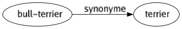 Synonyme de Bull-terrier : Terrier 