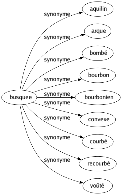 Synonyme de Busquee : Aquilin Arque Bombé Bourbon Bourbonien Convexe Courbé Recourbé Voûté 