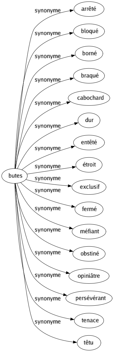 Synonyme de Butes : Arrêté Bloqué Borné Braqué Cabochard Dur Entêté Étroit Exclusif Fermé Méfiant Obstiné Opiniâtre Persévérant Tenace Têtu 