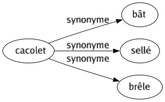 Synonyme de Cacolet : Bât Sellé Brêle 