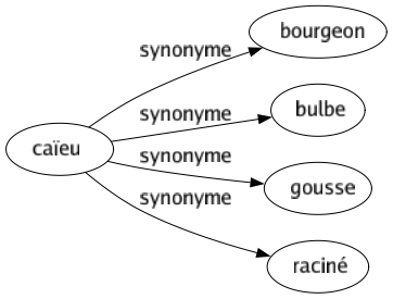 Synonyme de Caïeu : Bourgeon Bulbe Gousse Raciné 