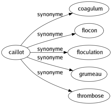 Synonyme de Caillot : Coagulum Flocon Floculation Grumeau Thrombose 