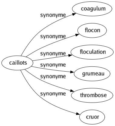 Synonyme de Caillots : Coagulum Flocon Floculation Grumeau Thrombose Cruor 