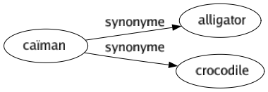 Synonyme de Caïman : Alligator Crocodile 