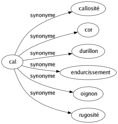 Synonyme de Cal : Callosité Cor Durillon Endurcissement Oignon Rugosité 