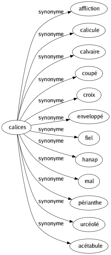 Synonyme de Calices : Affliction Calicule Calvaire Coupé Croix Enveloppé Fiel Hanap Mal Périanthe Urcéolé Acétabule 