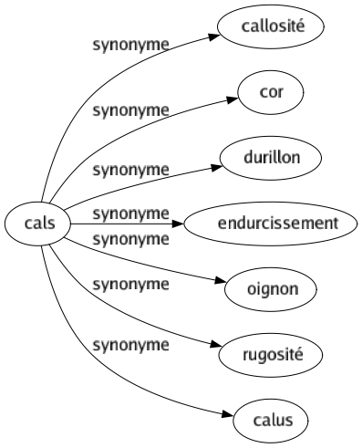 Synonyme de Cals : Callosité Cor Durillon Endurcissement Oignon Rugosité Calus 