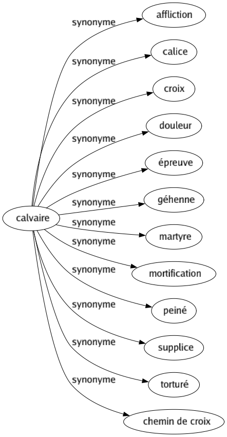 Synonyme de Calvaire : Affliction Calice Croix Douleur Épreuve Géhenne Martyre Mortification Peiné Supplice Torturé Chemin de croix 