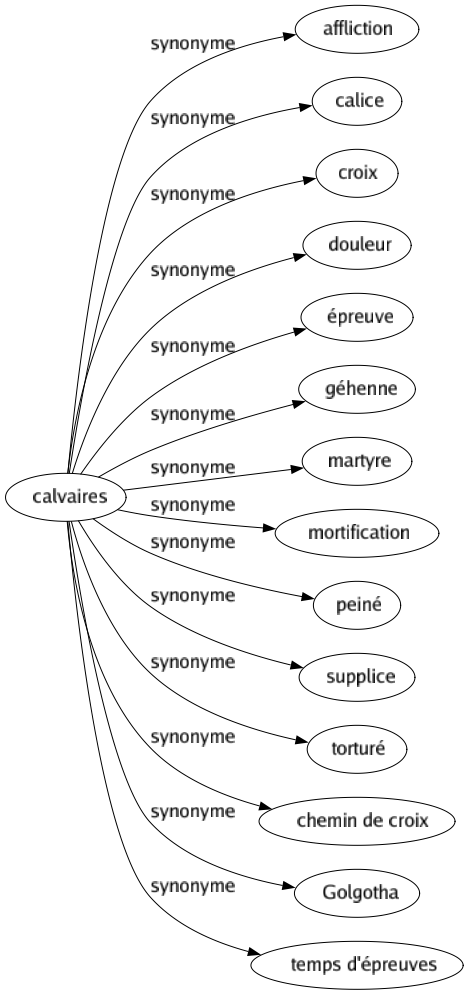 Synonyme de Calvaires : Affliction Calice Croix Douleur Épreuve Géhenne Martyre Mortification Peiné Supplice Torturé Chemin de croix Golgotha Temps d'épreuves 