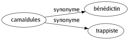 Synonyme de Camaldules : Bénédictin Trappiste 