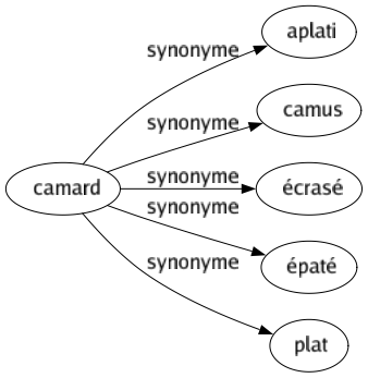 Synonyme de Camard : Aplati Camus Écrasé Épaté Plat 