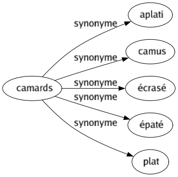 Synonyme de Camards : Aplati Camus Écrasé Épaté Plat 