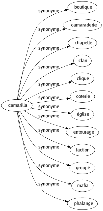 Synonyme de Camarilla : Boutique Camaraderie Chapelle Clan Clique Coterie Église Entourage Faction Groupé Mafia Phalange 