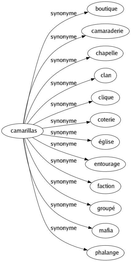 Synonyme de Camarillas : Boutique Camaraderie Chapelle Clan Clique Coterie Église Entourage Faction Groupé Mafia Phalange 