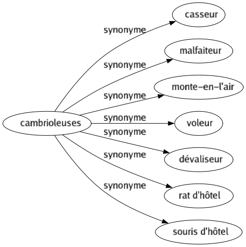 Synonyme de Cambrioleuses : Casseur Malfaiteur Monte-en-l'air Voleur Dévaliseur Rat d'hôtel Souris d'hôtel 