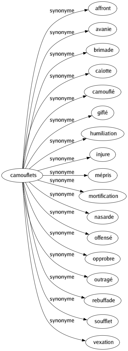 Synonyme de Camouflets : Affront Avanie Brimade Calotte Camouflé Giflé Humiliation Injure Mépris Mortification Nasarde Offensé Opprobre Outragé Rebuffade Soufflet Vexation 