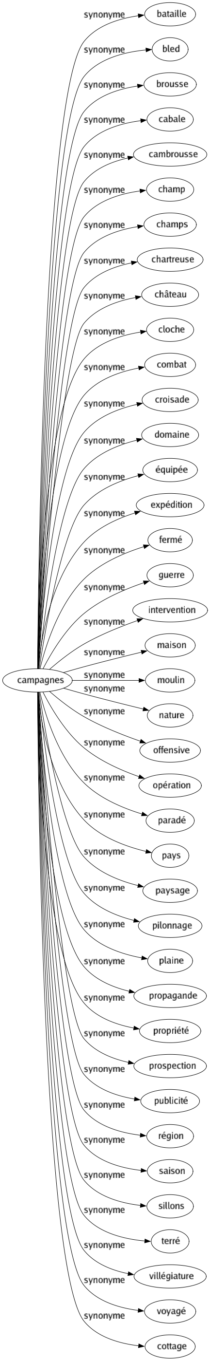 Synonyme de Campagnes : Bataille Bled Brousse Cabale Cambrousse Champ Champs Chartreuse Château Cloche Combat Croisade Domaine Équipée Expédition Fermé Guerre Intervention Maison Moulin Nature Offensive Opération Paradé Pays Paysage Pilonnage Plaine Propagande Propriété Prospection Publicité Région Saison Sillons Terré Villégiature Voyagé Cottage 