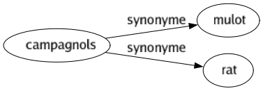 Synonyme de Campagnols : Mulot Rat 