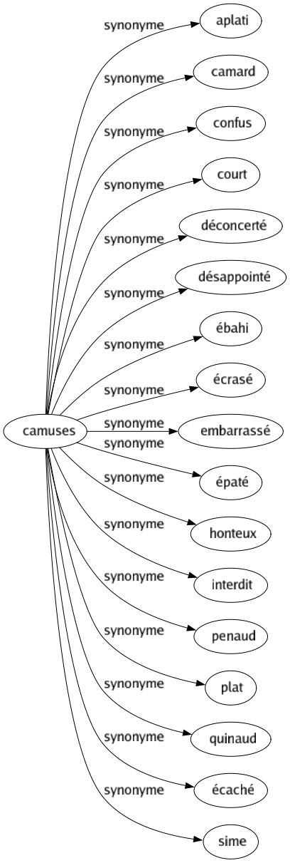 Synonyme de Camuses : Aplati Camard Confus Court Déconcerté Désappointé Ébahi Écrasé Embarrassé Épaté Honteux Interdit Penaud Plat Quinaud Écaché Sime 