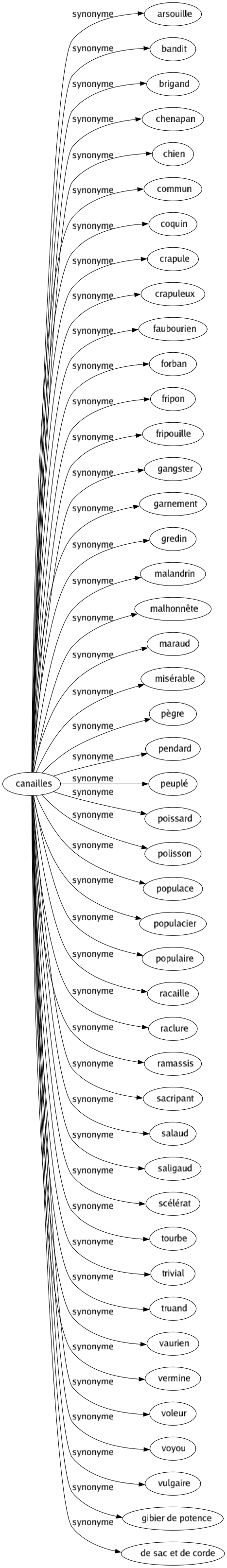 Synonyme de Canailles : Arsouille Bandit Brigand Chenapan Chien Commun Coquin Crapule Crapuleux Faubourien Forban Fripon Fripouille Gangster Garnement Gredin Malandrin Malhonnête Maraud Misérable Pègre Pendard Peuplé Poissard Polisson Populace Populacier Populaire Racaille Raclure Ramassis Sacripant Salaud Saligaud Scélérat Tourbe Trivial Truand Vaurien Vermine Voleur Voyou Vulgaire Gibier de potence De sac et de corde 