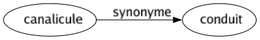 Synonyme de Canalicule : Conduit 