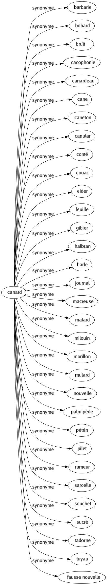 Synonyme de Canard : Barbarie Bobard Bruît Cacophonie Canardeau Cane Caneton Canular Conté Couac Eider Feuille Gibier Halbran Harle Journal Macreuse Malard Milouin Morillon Mulard Nouvelle Palmipède Pétrin Pilet Rumeur Sarcelle Souchet Sucré Tadorne Tuyau Fausse nouvelle 