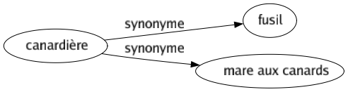 Synonyme de Canardière : Fusil Mare aux canards 