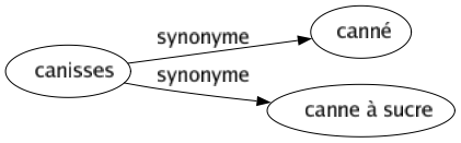 Synonyme de Canisses : Canné Canne à sucre 