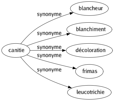 Synonyme de Canitie : Blancheur Blanchiment Décoloration Frimas Leucotrichie 