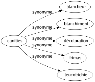 Synonyme de Canities : Blancheur Blanchiment Décoloration Frimas Leucotrichie 