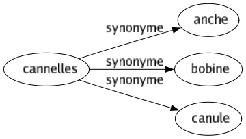 Synonyme de Cannelles : Anche Bobine Canule 