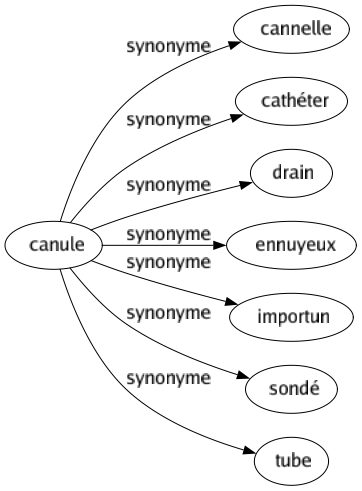 Synonyme de Canule : Cannelle Cathéter Drain Ennuyeux Importun Sondé Tube 
