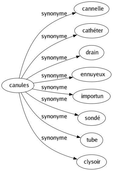 Synonyme de Canules : Cannelle Cathéter Drain Ennuyeux Importun Sondé Tube Clysoir 