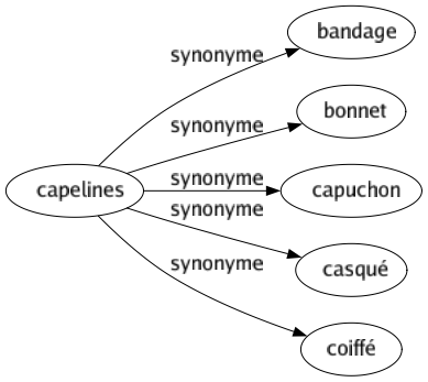 Synonyme de Capelines : Bandage Bonnet Capuchon Casqué Coiffé 