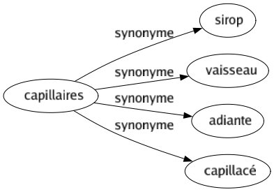 Synonyme de Capillaires : Sirop Vaisseau Adiante Capillacé 